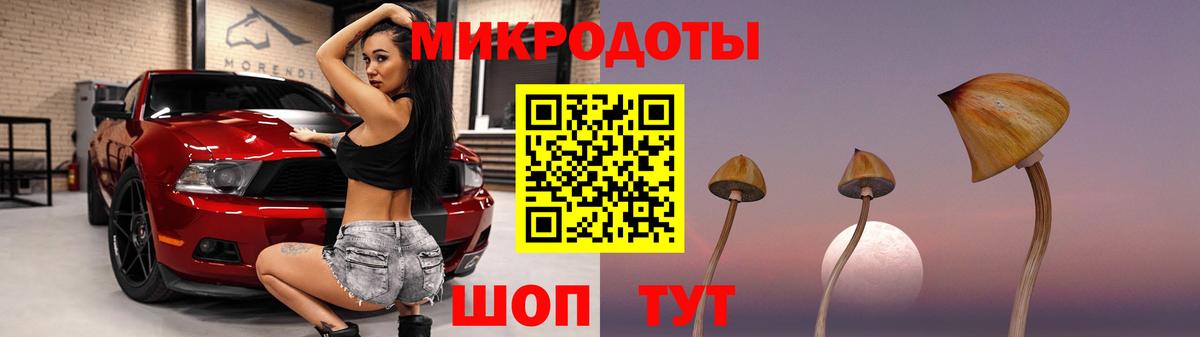 Бердск  Псилоцибиновые грибы мицелий  сколько стоит  Псилоцибиновые грибы Magic Shrooms  Вход с VPN 